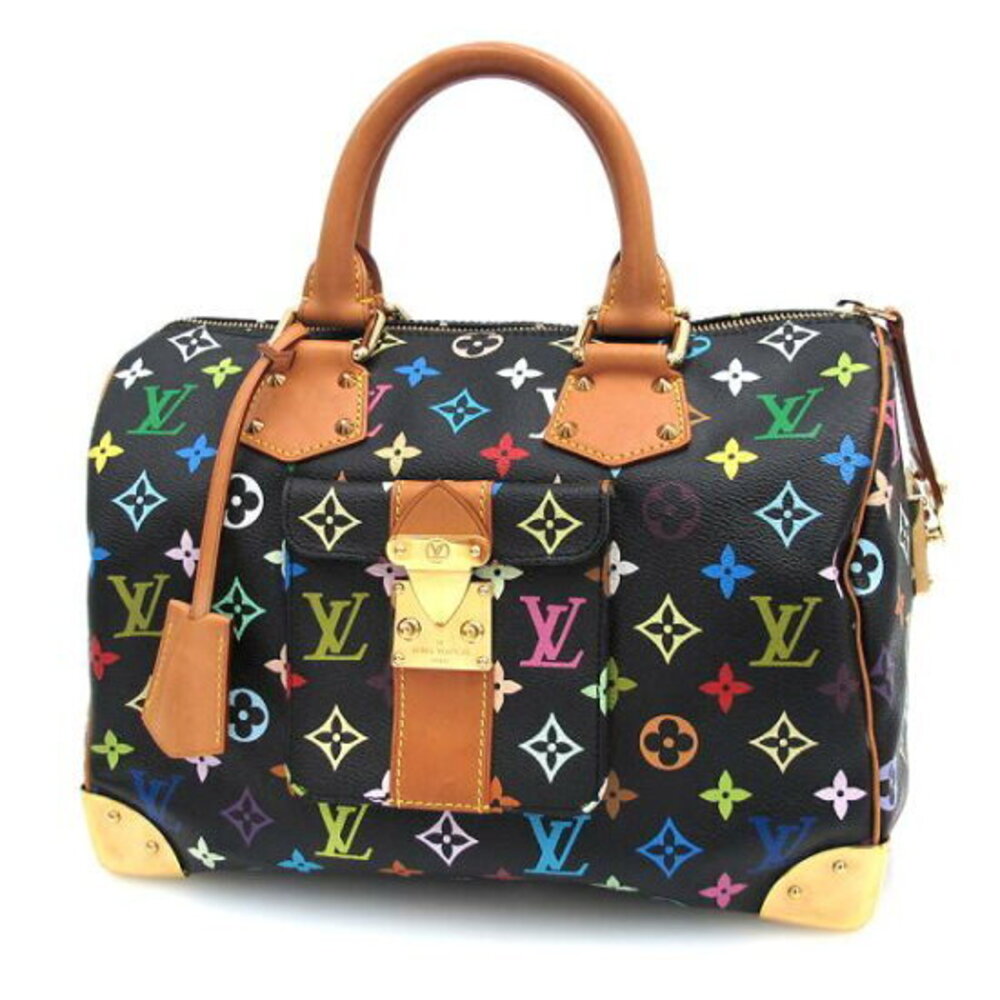 Louis Vuitton Multicolor Speedy